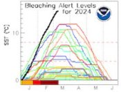 Bleaching Alert Levels 2024